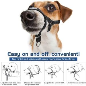 Holt Small dog head collar + leash, no pull in size 2 - Black